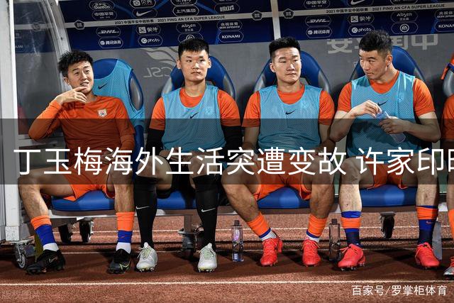 丁玉梅海外生活突遭变故 许家印暗藏后手被揭