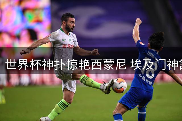 世界杯神扑惊艳西蒙尼 埃及门神舒贝尔或引欧洲豪门争夺